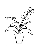 ~fBR`E/؂߂摜