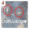 ̉肪olqB