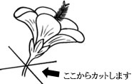 JbgC[WCXg