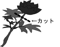 }PFJbg}