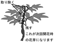 }QF肩}