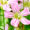 ݑ(fB[v[Y)
