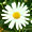 }[KbggsA[