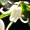 N}`XEzCgx