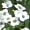 X[p[AbTEXm[vZX