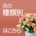 Ԃ̎ޕʁ@ĕ͂