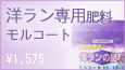 p엿R[g