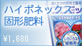 nC|lbNXŌ`엿