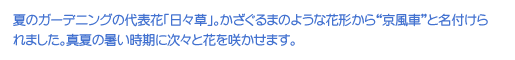 ẴK[fjȎ\ԁuXvB܂̂悤ȉԌ`gԁhƖt܂B^Ă̏ɎXƉԂ炩܂B