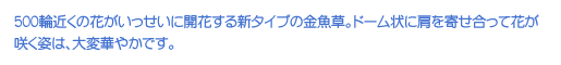 500֋߂̉ԂɊJԂV^Cv̋Bh[Ɍ񂹍ĉԂ炭ṕAω؂₩łB
