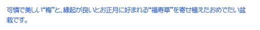 Ŕg~hƁANǂƂɍD܂gh񂹐A߂ł~͂łB