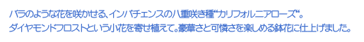 ô悤ȉԂ炩ACp`FX̔d炫gJtHjA[YgB_ChtXgƂԂ񂹐AāB؂Ɖy߂锫ԂɎdグ܂B