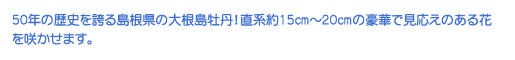50N̗jւ铇̑卪OIn15cm`20cm̍؂Ō̂Ԃ炩܂B