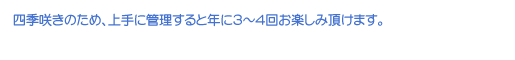 lG炫̂߁AɊǗƔNɂR`S񂨊yݒ܂B