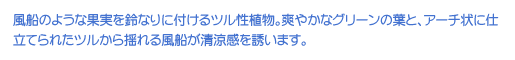 D̂悤ȉʎȂɕtcABu₩ȃO[̗tƁAA[`ɎdĂꂽch镗DU܂B