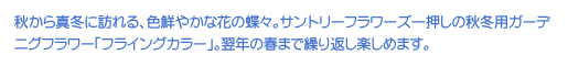 H^~ɖKAFN₩ȉԂ̒XBTg[t[Yꉟ̏H~pK[fjOt[utCOJ[vBN̏t܂ŌJԂy߂܂B