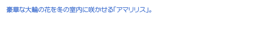 ؂ȑւ̉Ԃ~̎ɍ炩uA}XvB