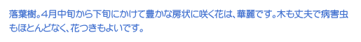 tBS{牺{ɂĖLȖ[ɍ炭Ԃ́AؗłB؂vŕaQقƂǂȂAԂ悢łB