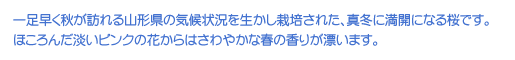 ꑫHKR`̋C󋵂𐶂͔|ꂽA^~ɖJɂȂłBق񂾒WsN̉Ԃ͂₩ȏt̍肪Y܂B