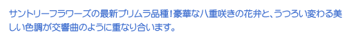 Tg[t[Y̍ŐVviI؂Ȕd炫̉ԕقƁA낢ςFȂ̂悤ɏdȂ荇܂B