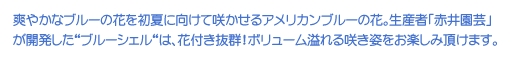 u₩ȃu[̉ԂĂɌč炩AJu[̉ԁBYҁuԈ䉀|vJgu[VFǵAԕtQI{[炫pyݒ܂B