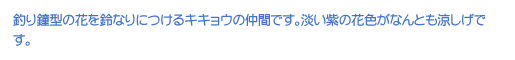 ނ^̉ԂȂɂLLE̒ԂłBW̉ԐFȂƂłB