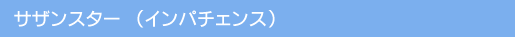 Ԃ̈ĕ/TUX^[iCp`FXj