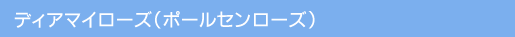 Ԃ̈ĕ/fBA}C[Yi|[Z[Yj