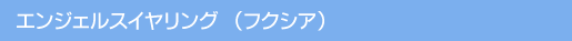 Ԃ̈ĕ/GWFXCOitNVAj
