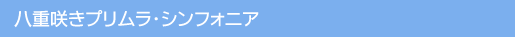 Ԃ̈ĕ/d炫vEVtHjA
