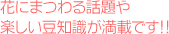 Ԃɂ܂bymڂłB