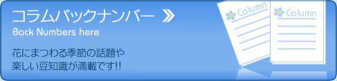 RobNio[͂