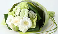 Send Flowers to Japan/Our best-selling/Lemonade