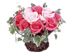 Petit Rose