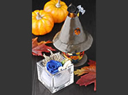 Special Rose cube & Candle House　