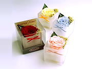 Rose cube
