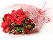 Red Passion