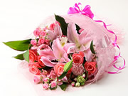 French Pink