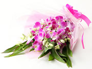 Purple Dendrobium Orchids