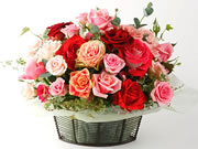 Rose Garden