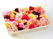 New Rose Bath-