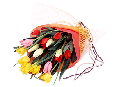 Tulips