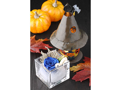 Special Rose cube & Candle House