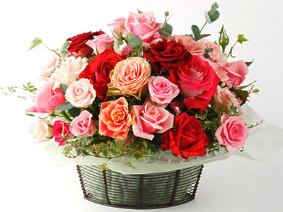 Rose Garden
