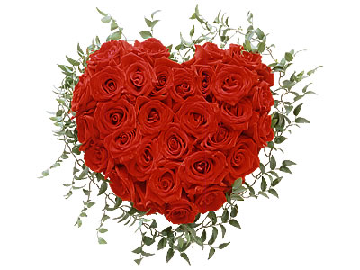 Sweet heart Roses