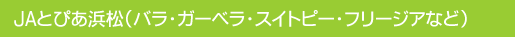 JAƂ҂@oAK[xAXC[gs[At[WAȂǐY