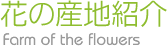 花の産地・農園紹介