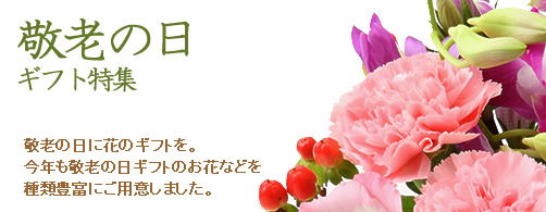 ̓:t[Mtg̔̔/ʔ