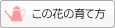 ̉Ԃ̈ĕ