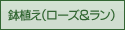 hV̓2011/Ai[Yj